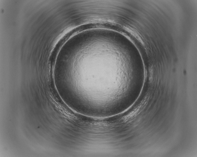 X0000087381021200704271552