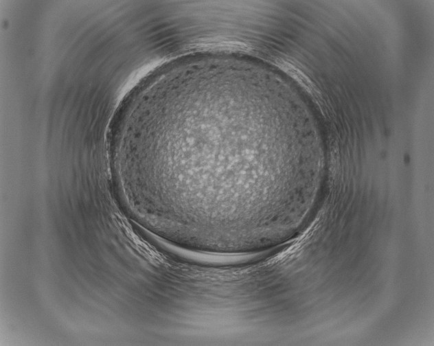 X0000087381022200704271552