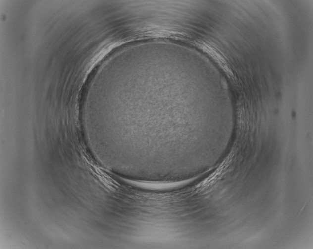 X0000087381023200704271552