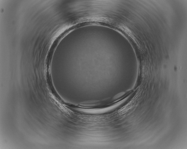 X0000087381024200704271552