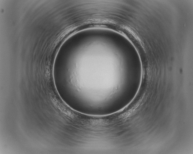 X0000087381025200704271552