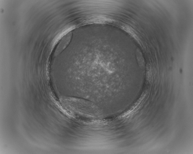 X0000087381026200704271552