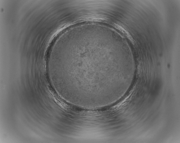 X0000087381027200704271552