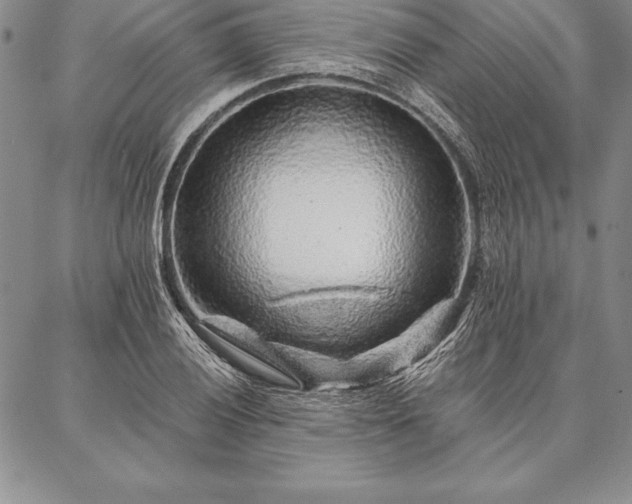 X0000087381028200704271552