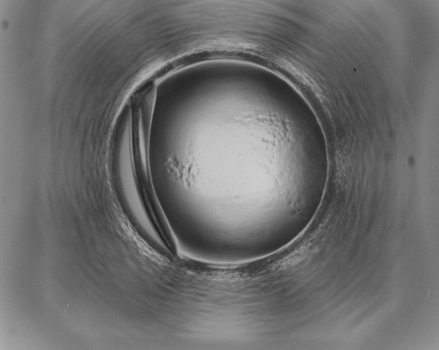 X0000087381029200704271552