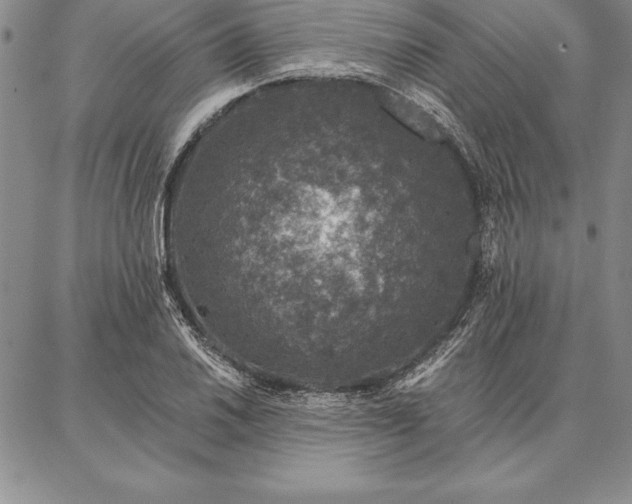 X0000087381030200704271552