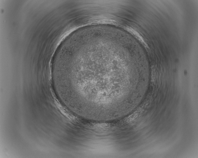 X0000087381031200704271552