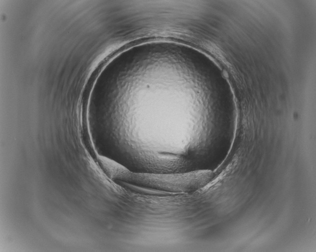 X0000087381032200704271552