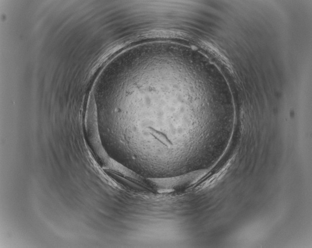 X0000087381033200704271552