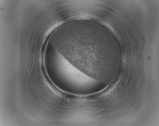 X0000087381034200704271552