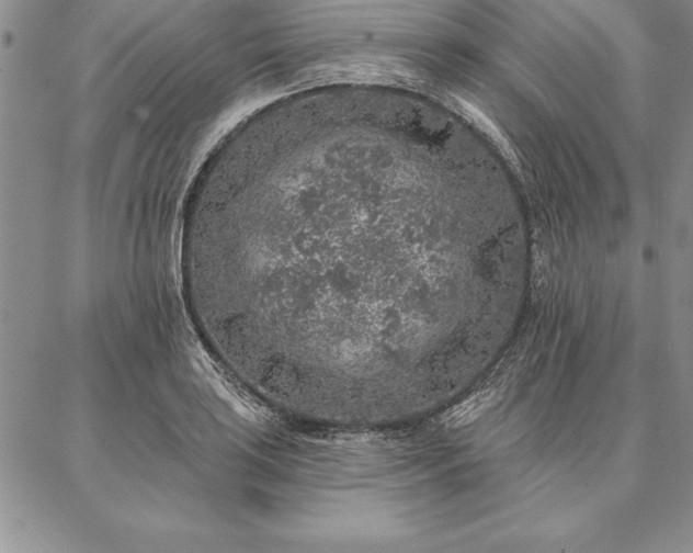 X0000087381035200704271552