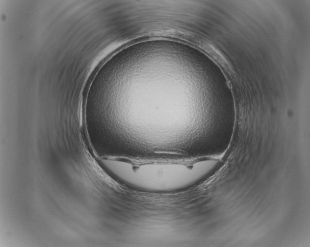 X0000087381036200704271552