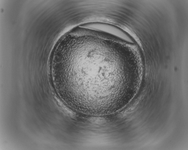 X0000087381037200704271552