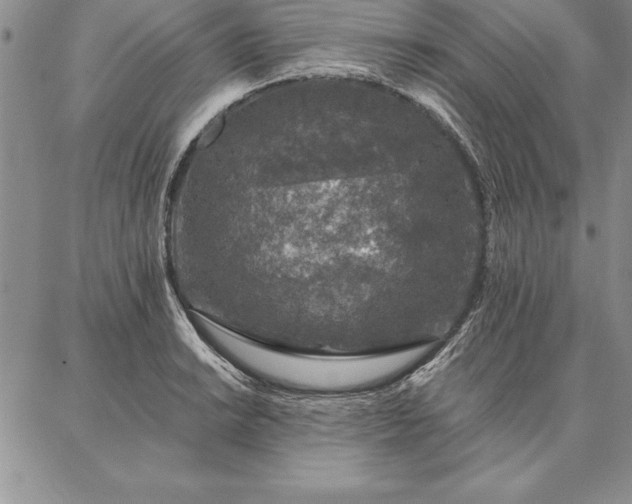 X0000087381038200704271552