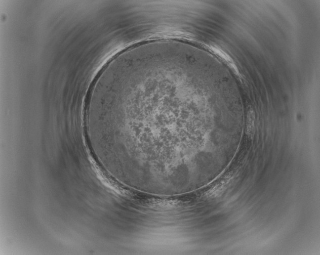 X0000087381039200704271552