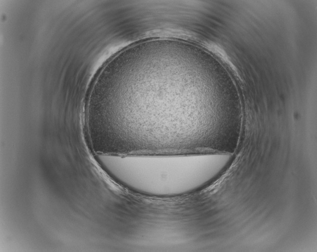 X0000087381040200704271552