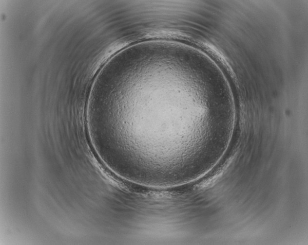 X0000087381041200704271552