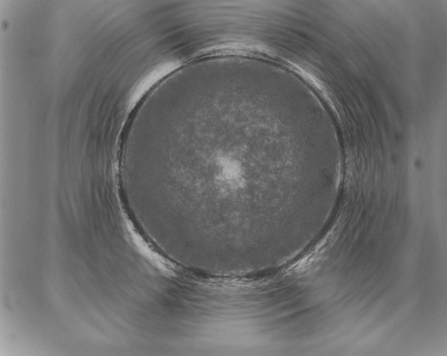 X0000087381042200704271552