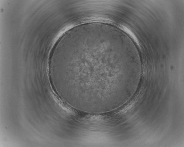 X0000087381043200704271552