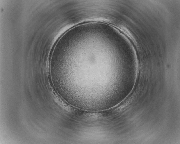 X0000087381044200704271552