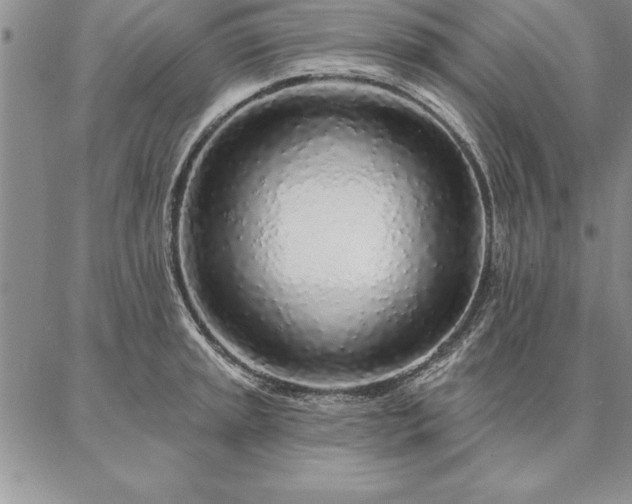 X0000087381045200704271552