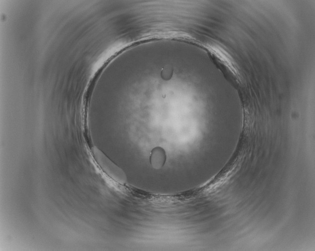 X0000087381046200704271552