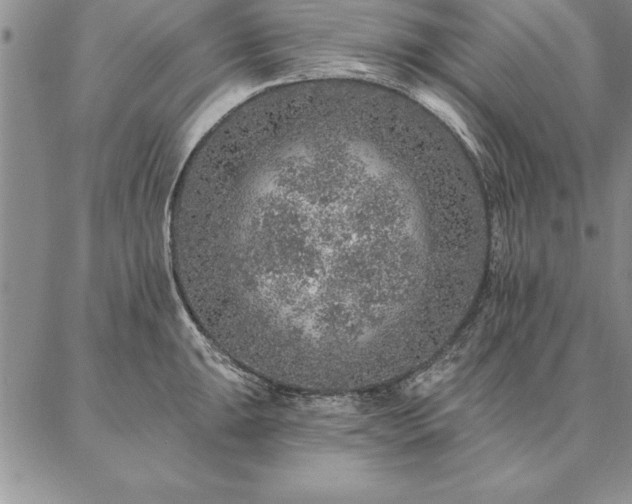 X0000087381047200704271552