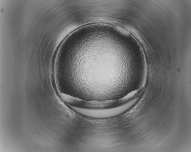 X0000087381048200704271552