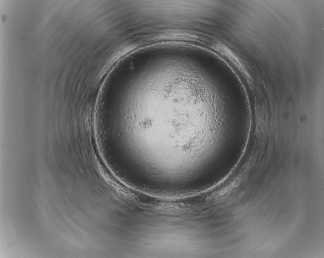 X0000087381049200704271552