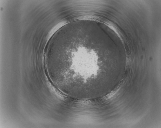 X0000087381050200704271552