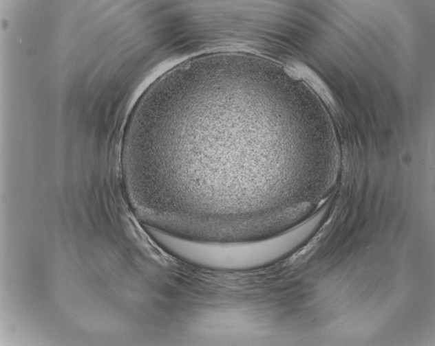 X0000087381052200704271552