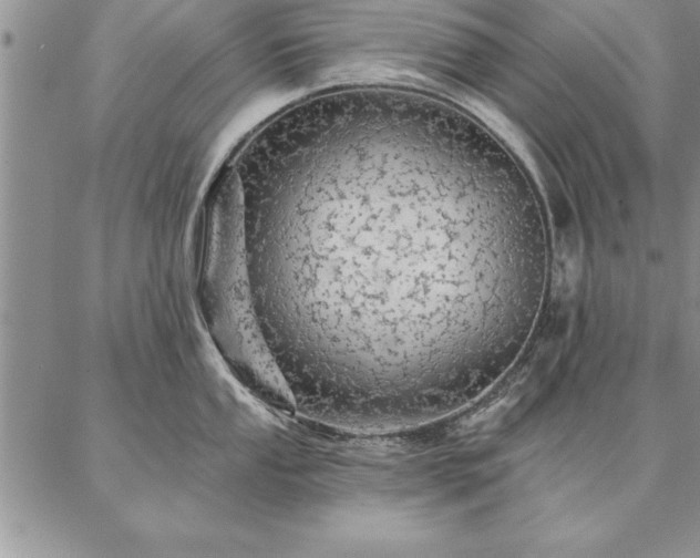 X0000087381053200704271552