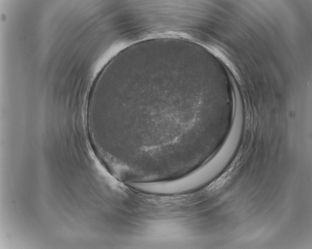 X0000087381054200704271552