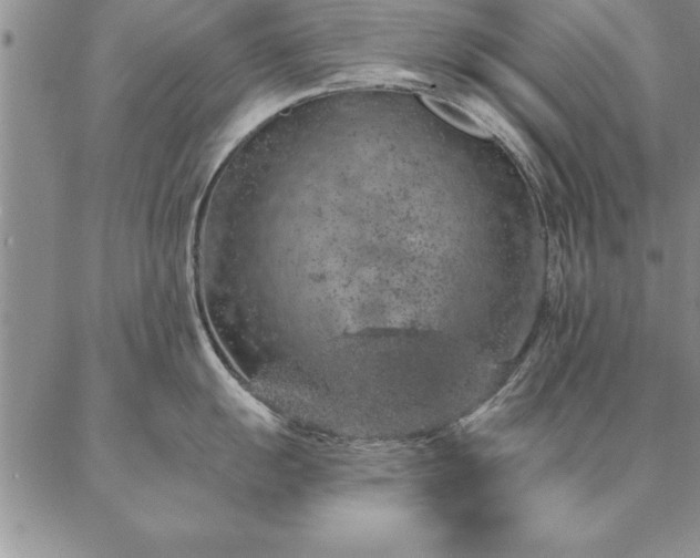 X0000087381055200704271552