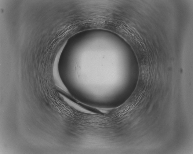 X0000087381057200704271552