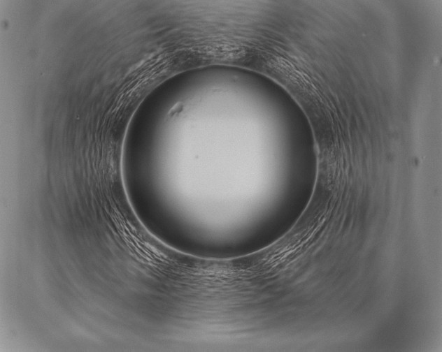 X0000087381058200704271552