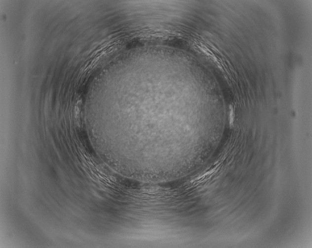 X0000087381059200704271552