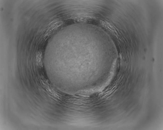 X0000087381060200704271552