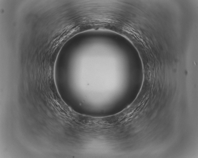 X0000087381061200704271551