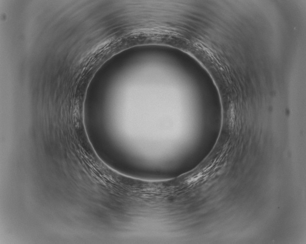 X0000087381062200704271551