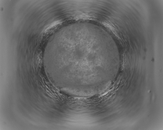 X0000087381063200704271551