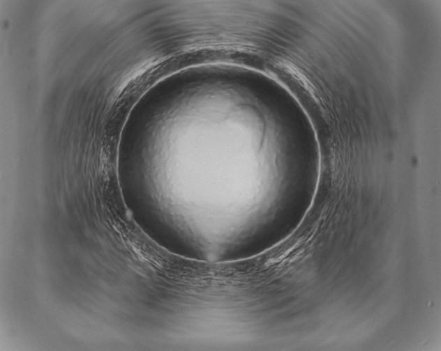 X0000087381064200704271551