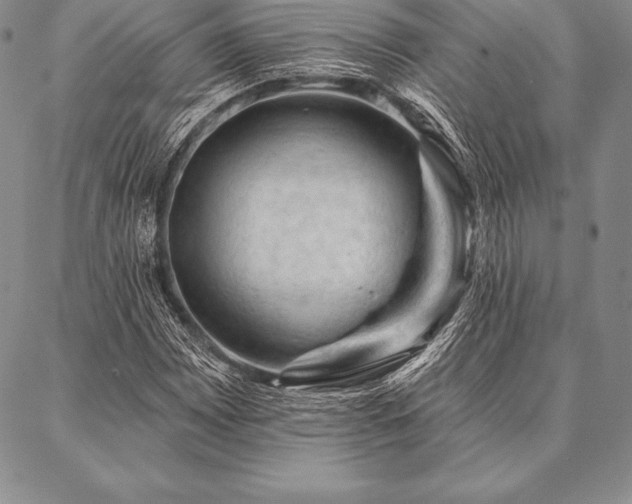 X0000087381065200704271551