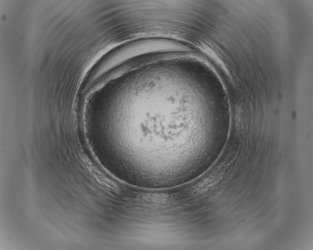 X0000087381068200704271551