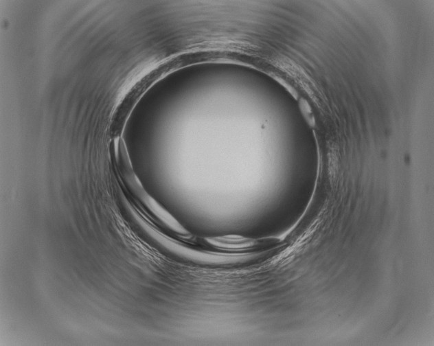 X0000087381069200704271551