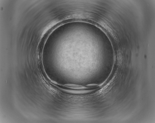 X0000087381070200704271551