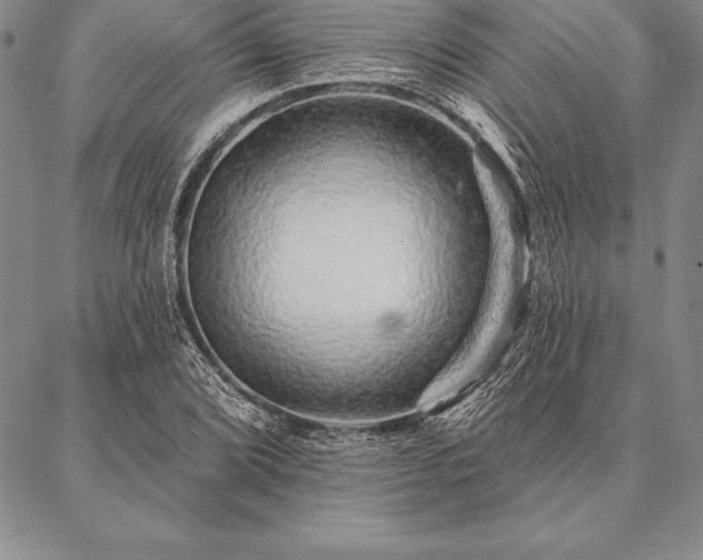 X0000087381072200704271551