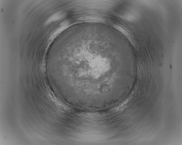 X0000087381074200704271551