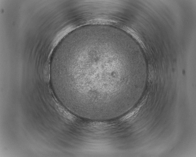 X0000087381075200704271551