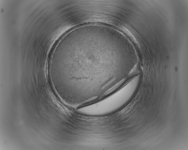 X0000087381076200704271551